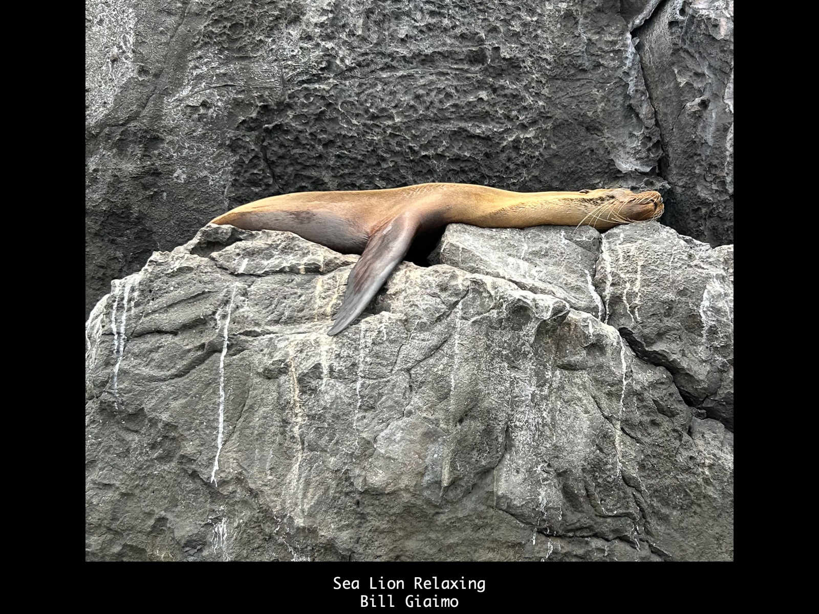 Slide51