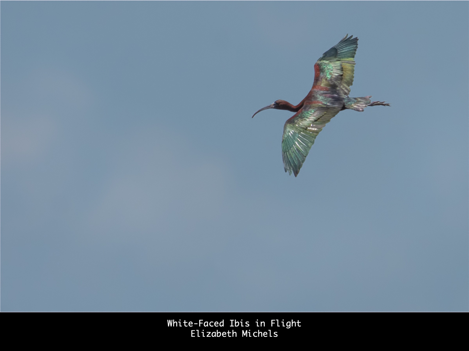 Slide71