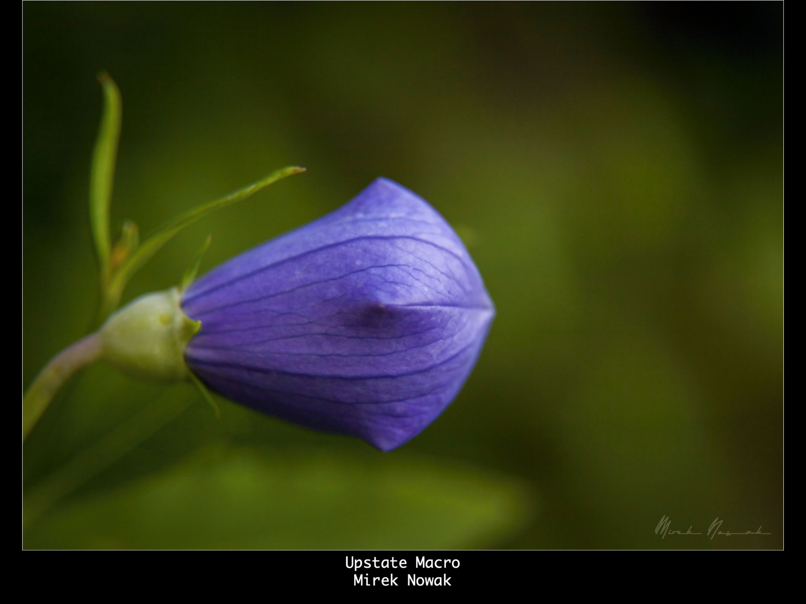 Slide79