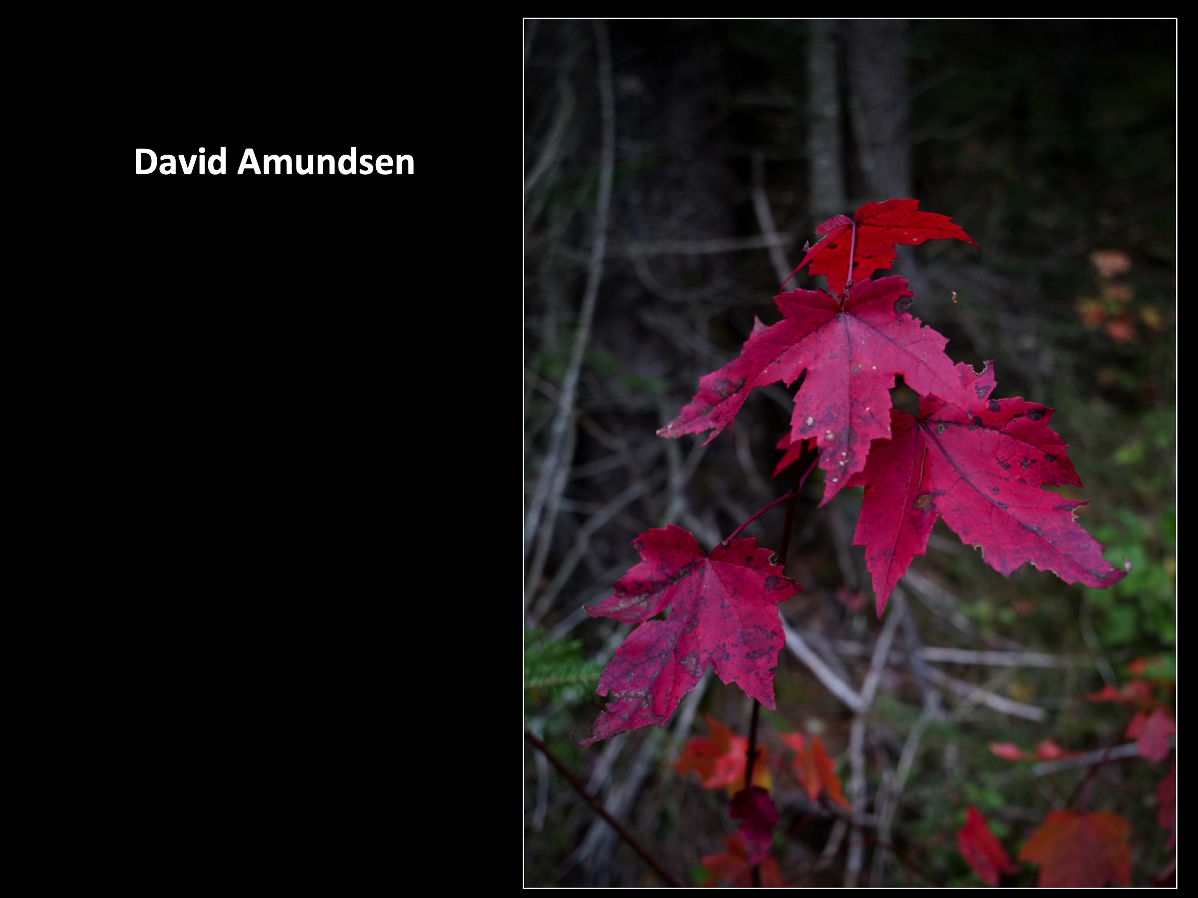 Slide004