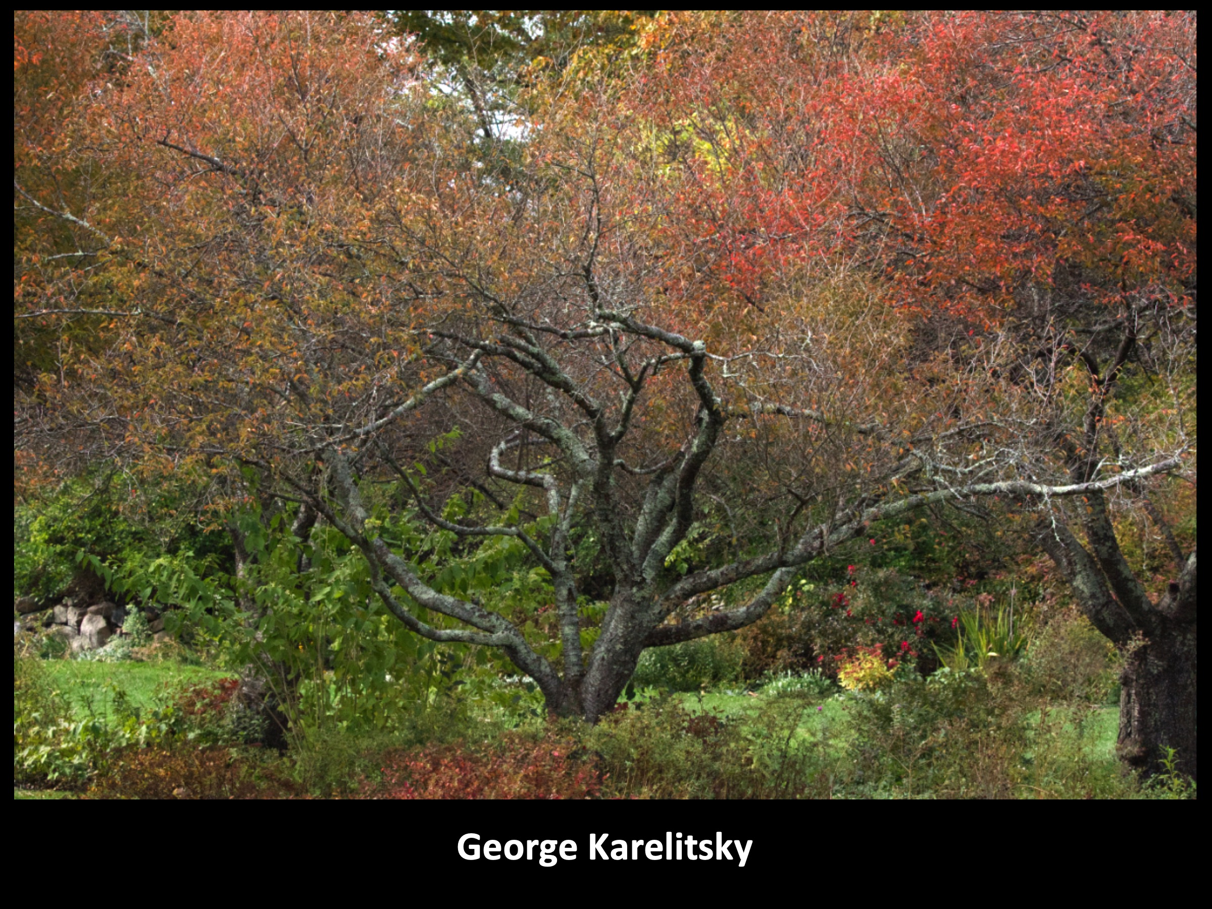 Slide046