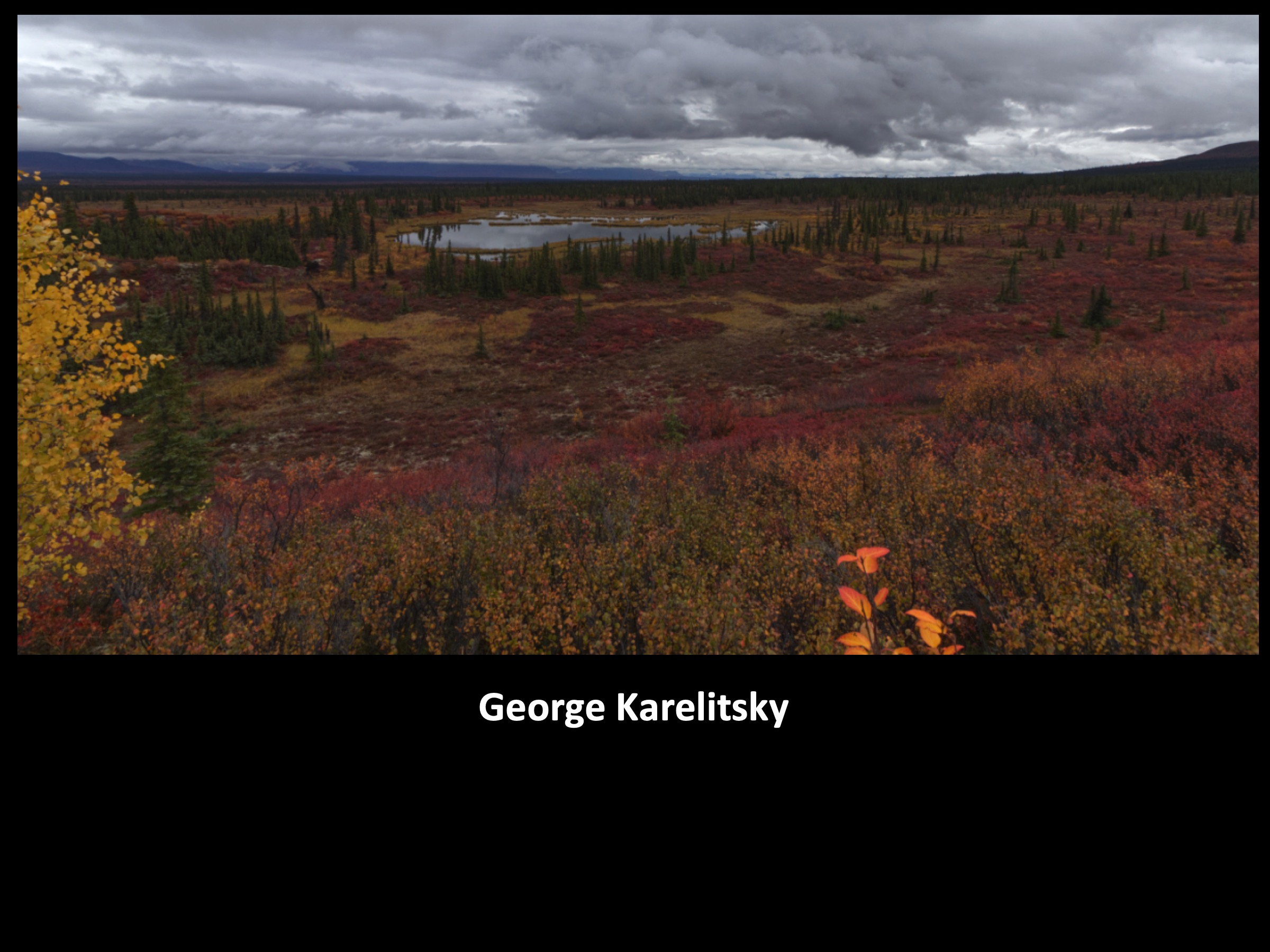 Slide047