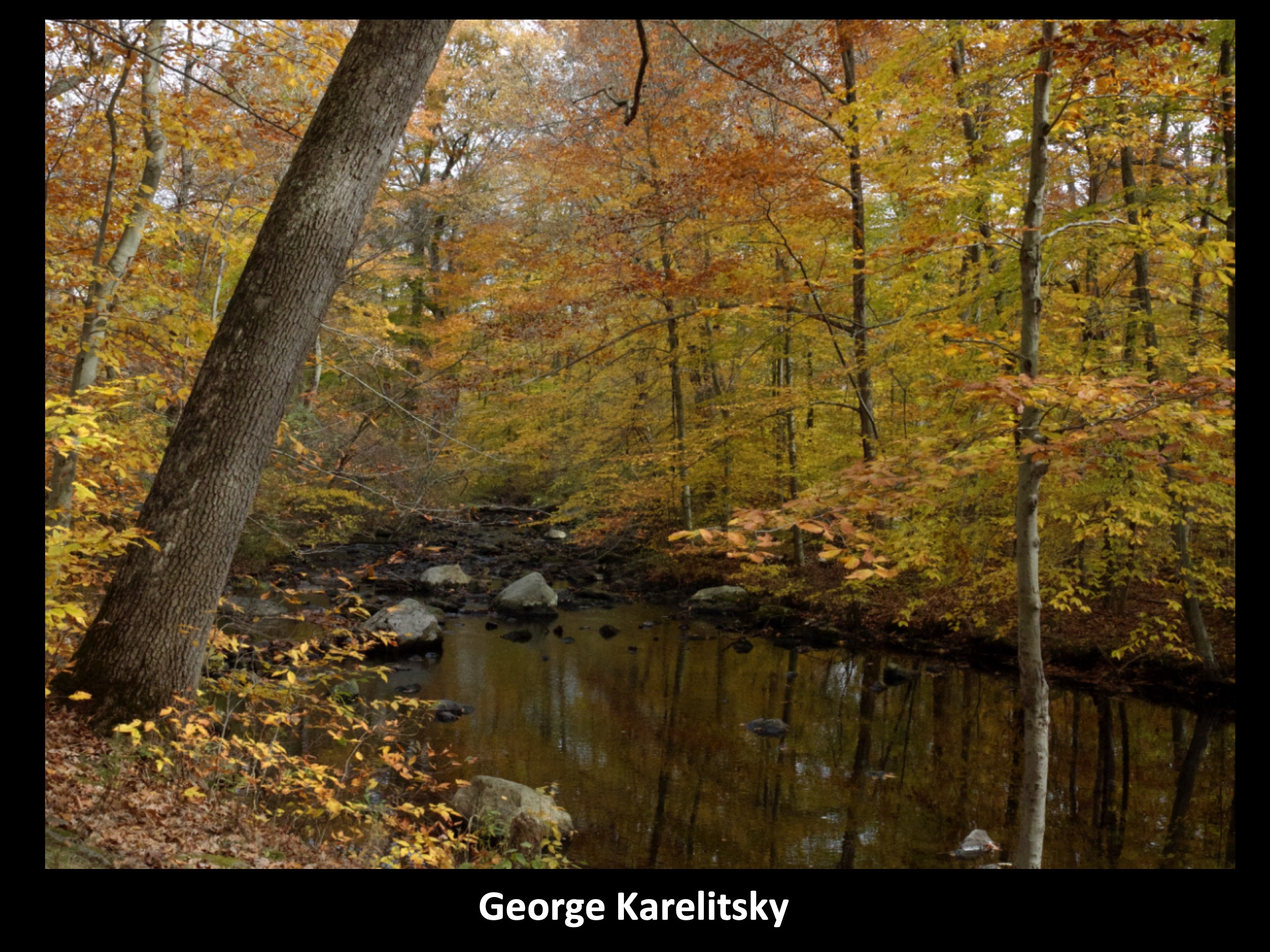 Slide048