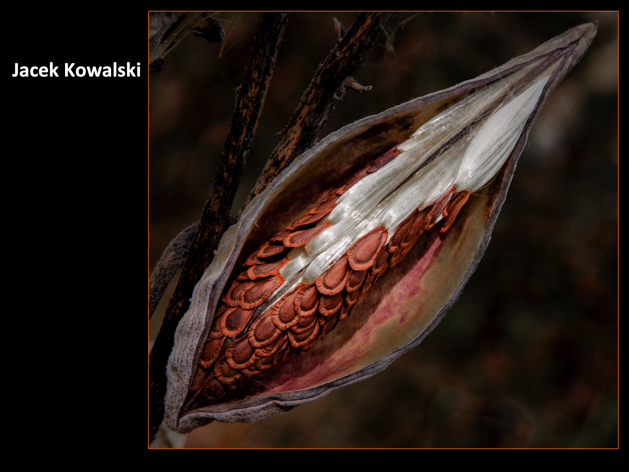 Slide053