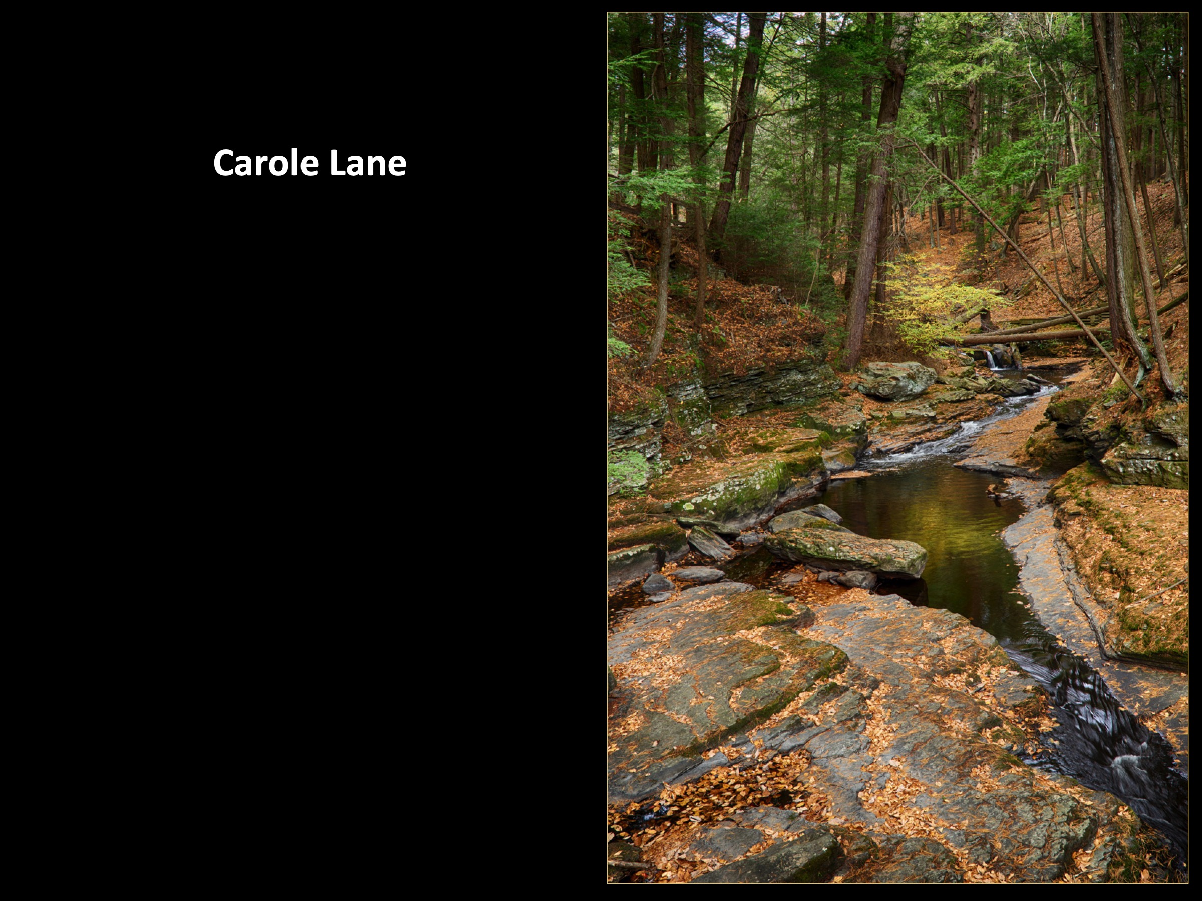 Slide055