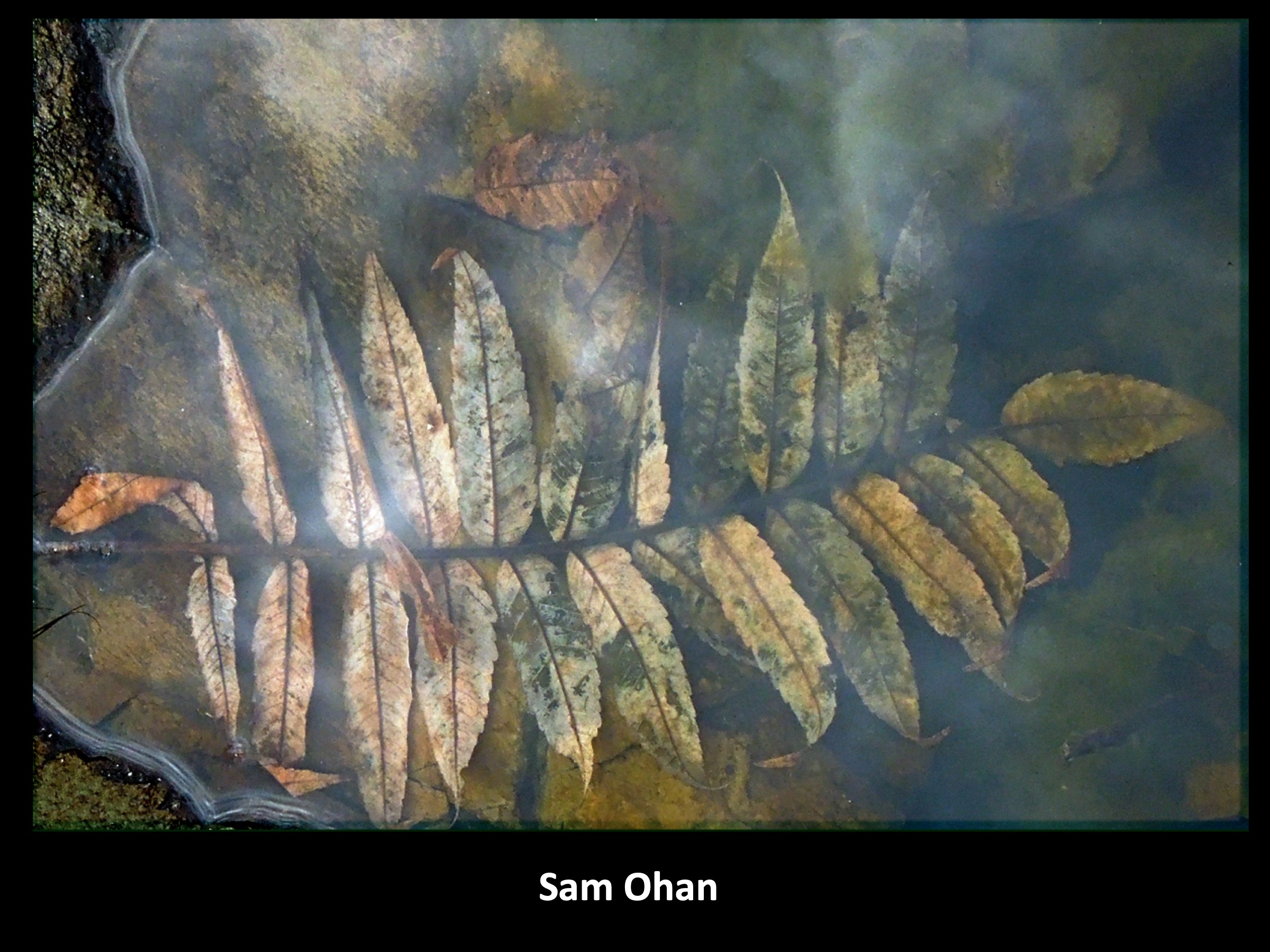 Slide074