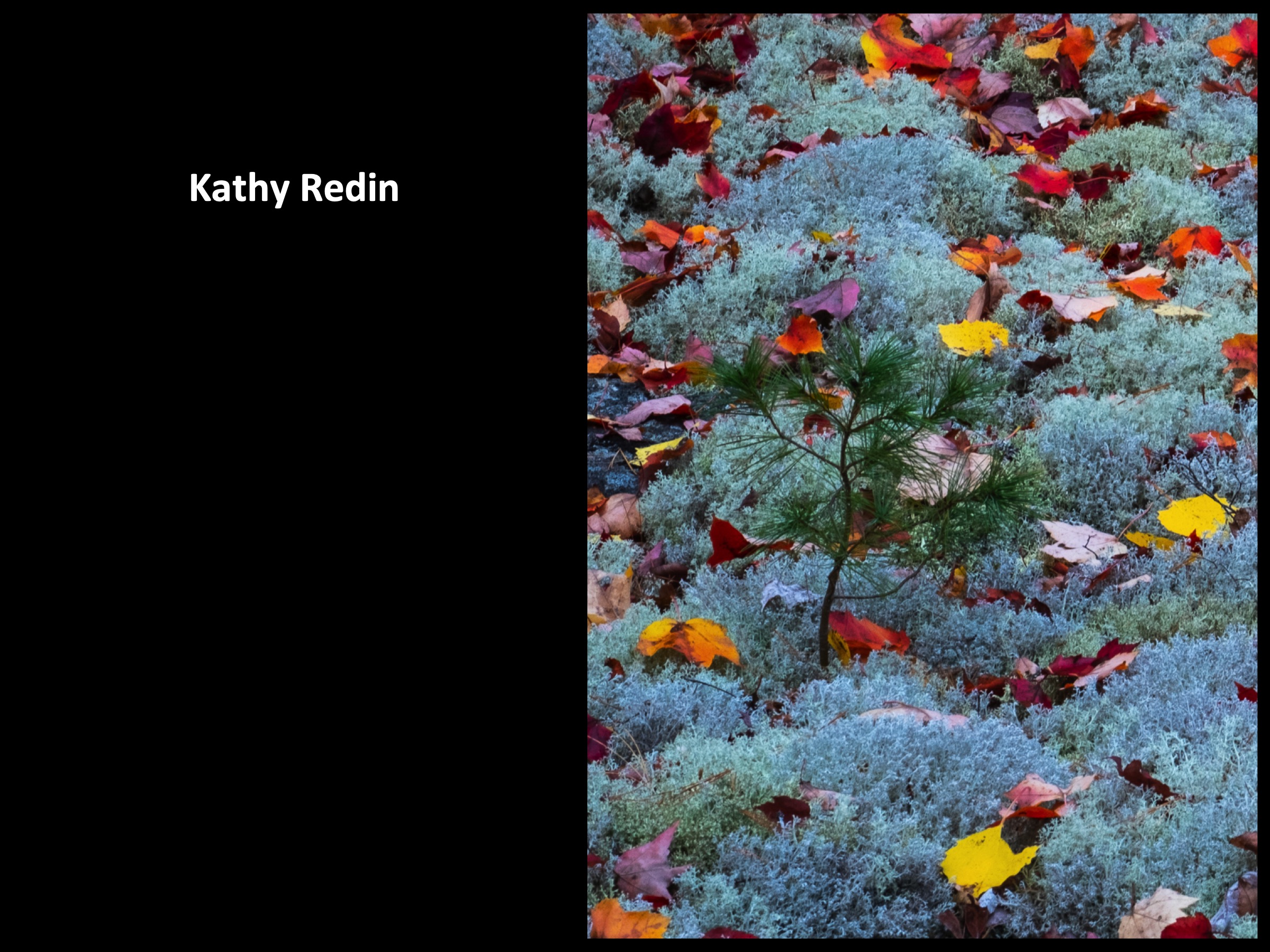 Slide099
