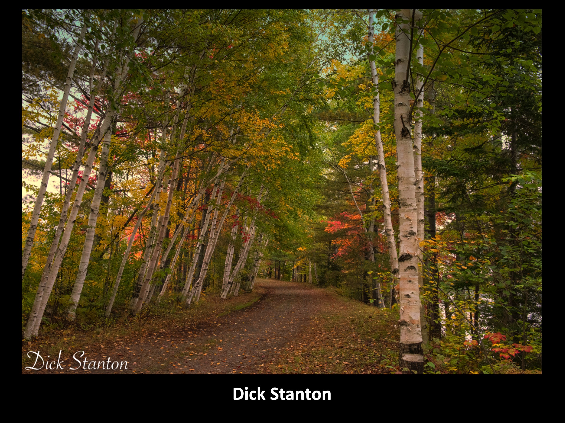 Slide117