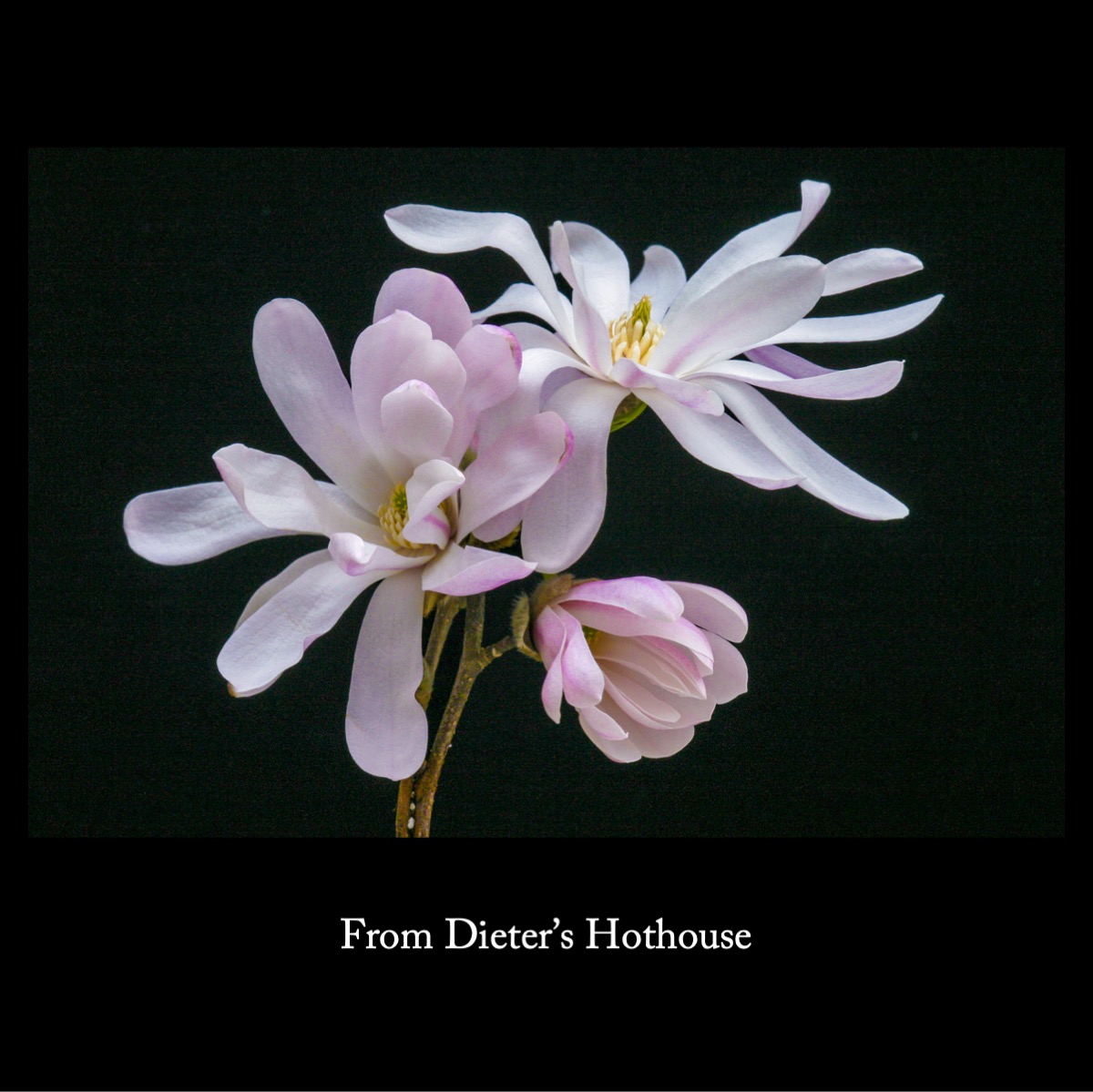 Slide19