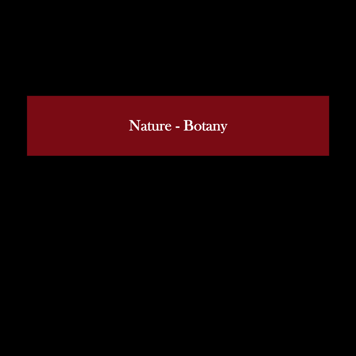 Slide27