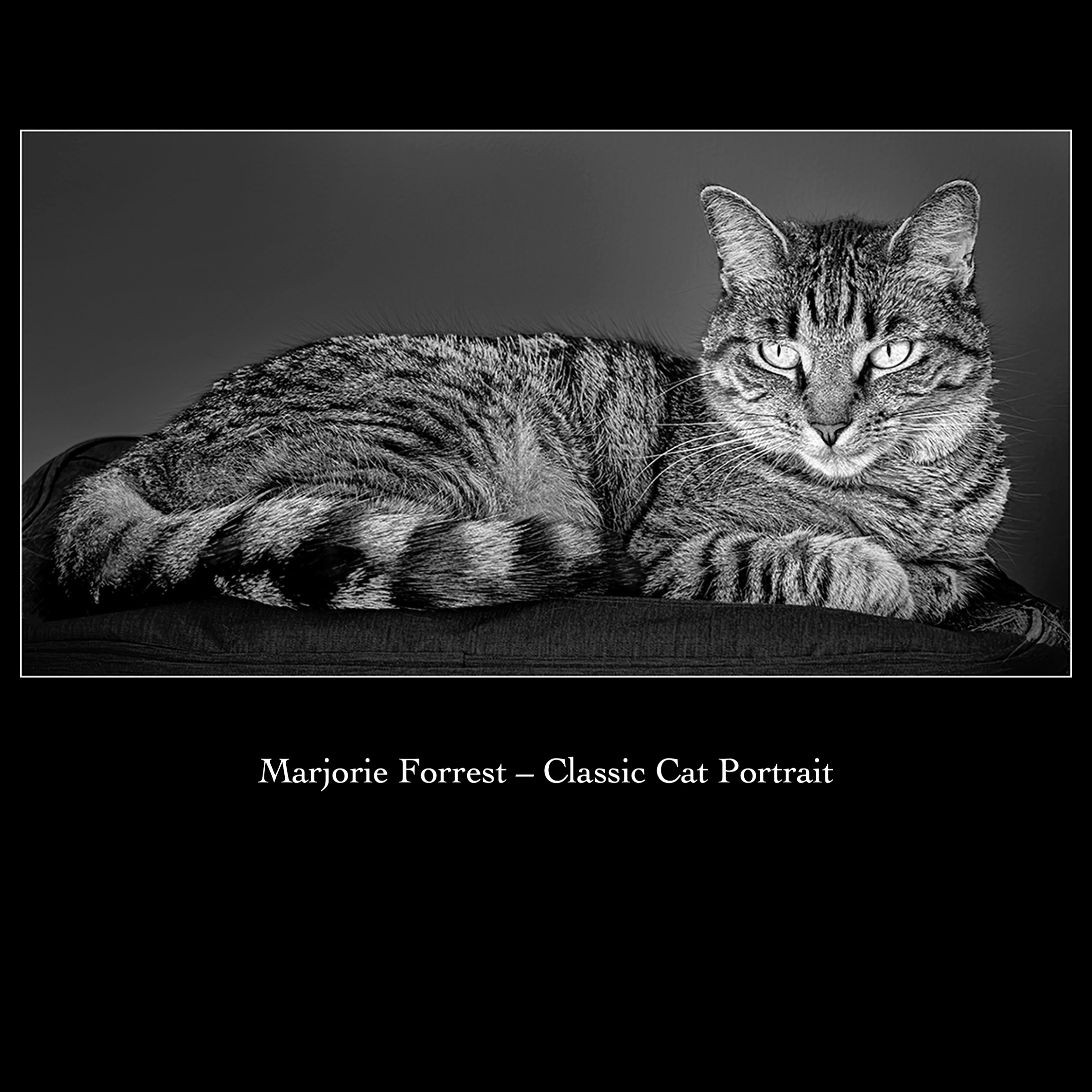Slide11
