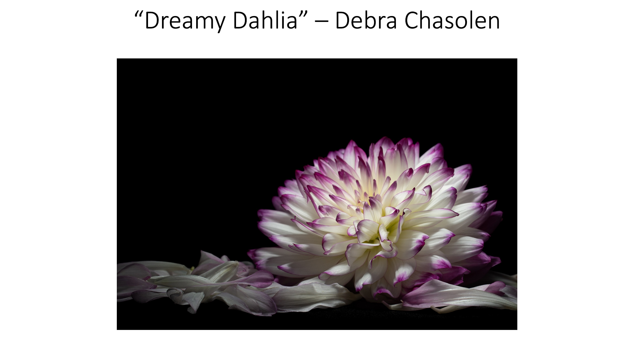 Slide15