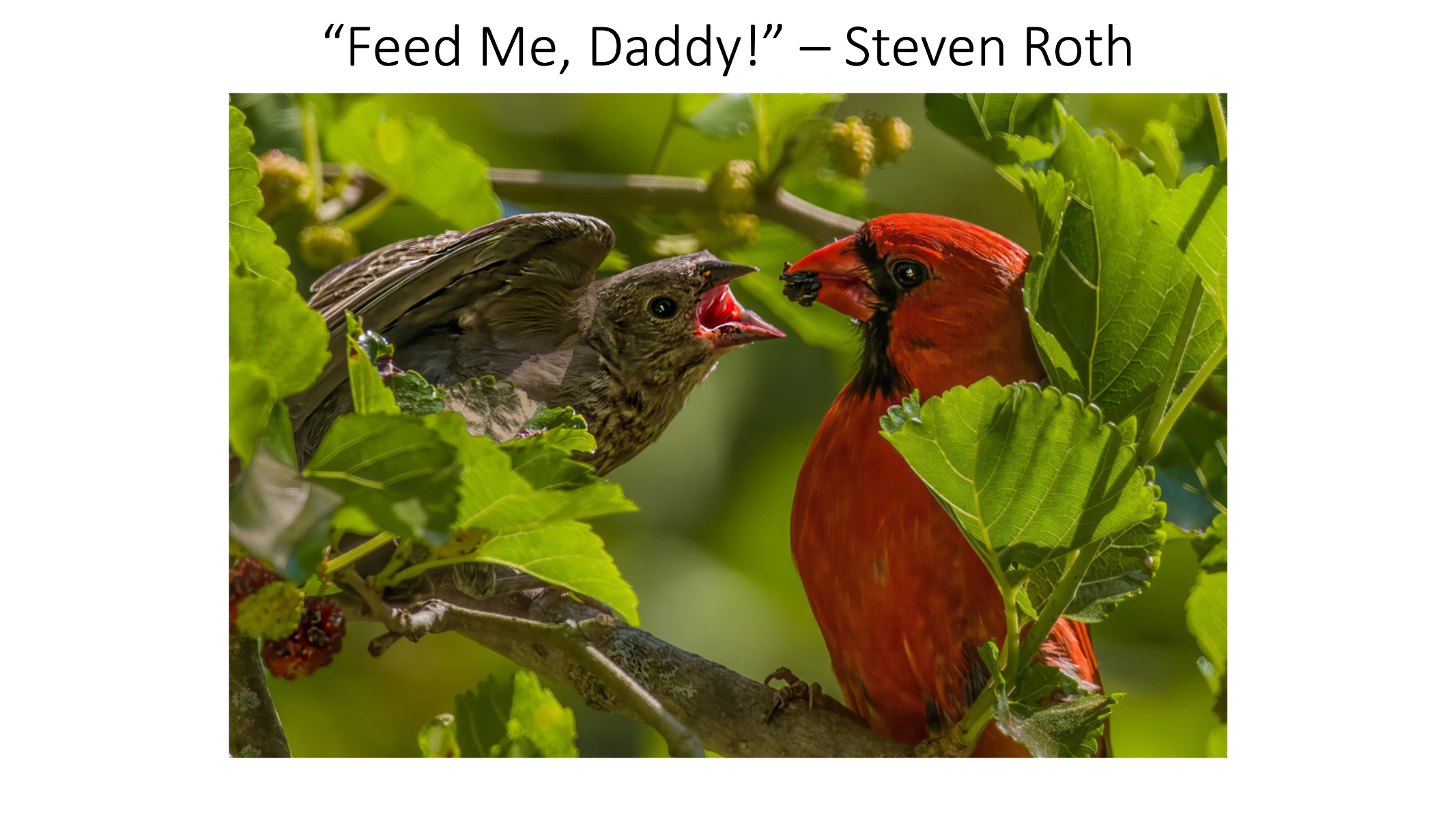 Slide17