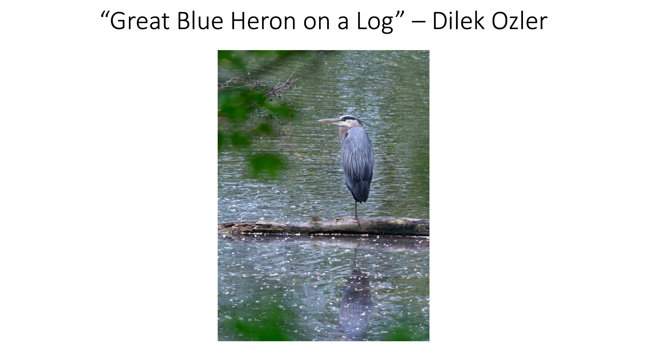 Slide21