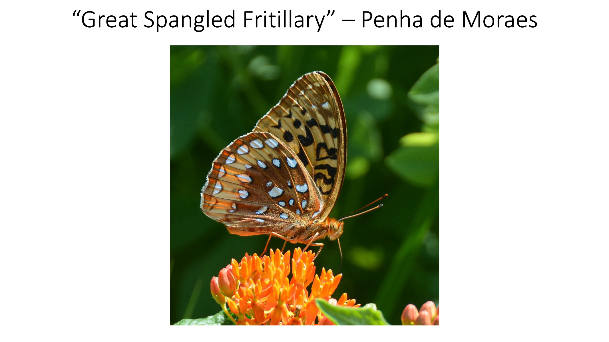 Slide22