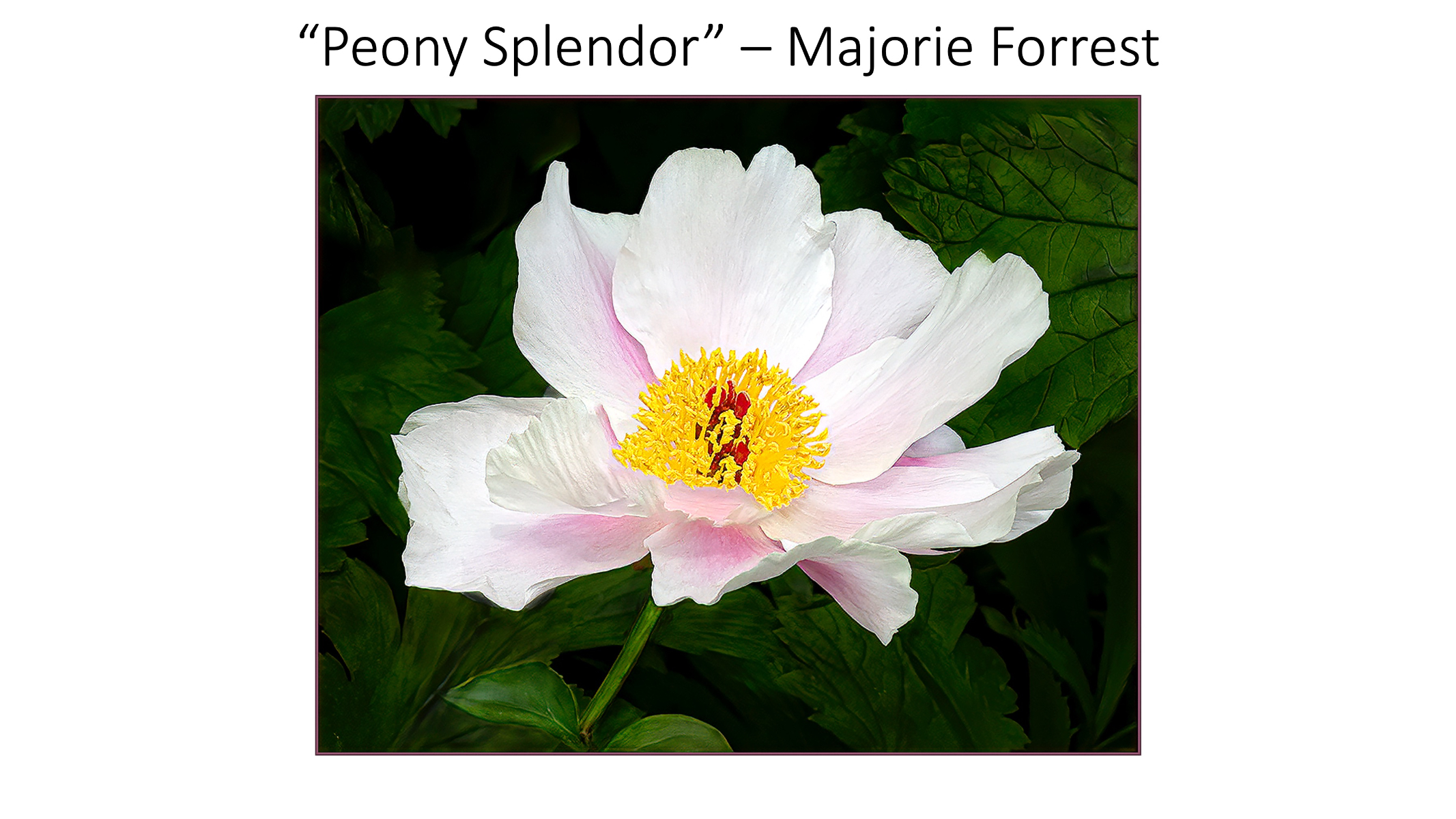 Slide35
