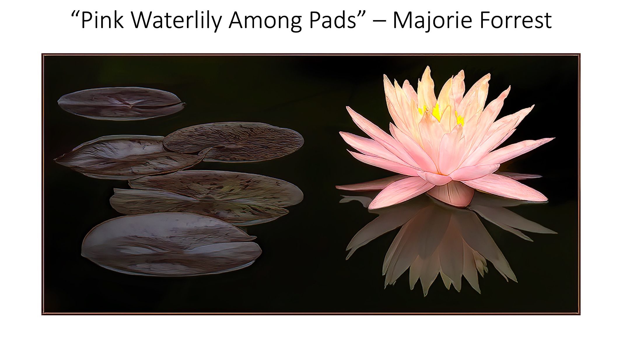 Slide36