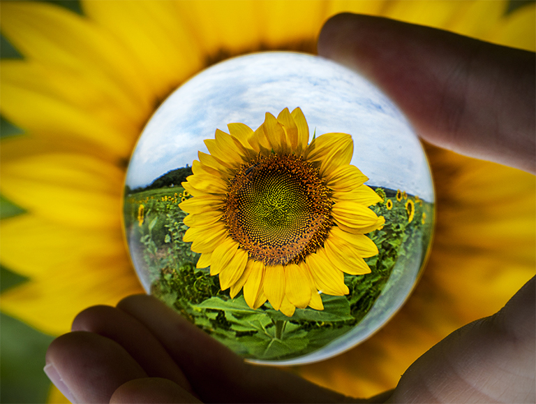 September 2013 - Heini Schulz - Holding the World in Your Hand