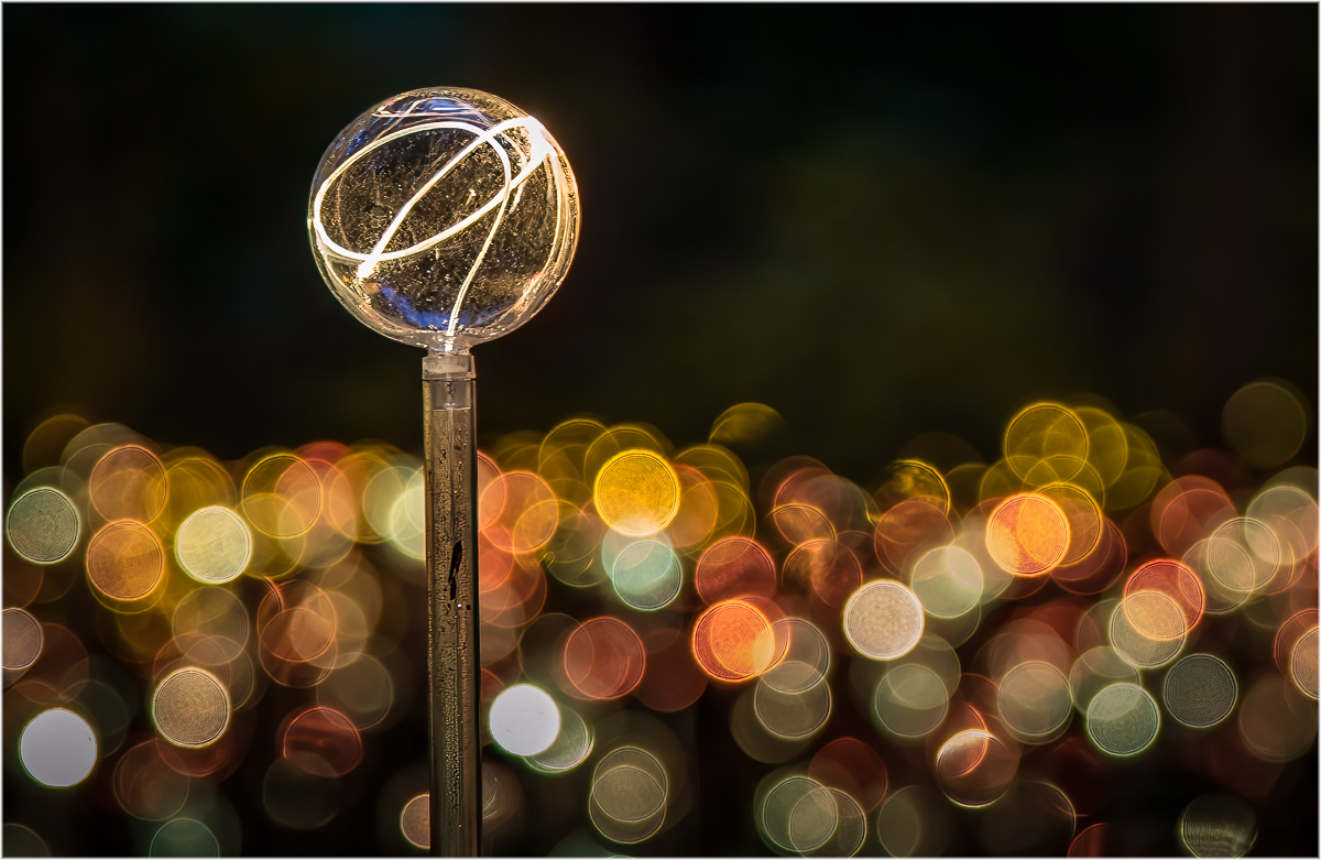 March 2023 - Assigned Subject Bokeh - John Redin  - Garden of Lights