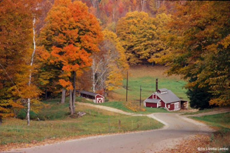 October 2004 Projected Image = Loretta Lembo - Sugar House