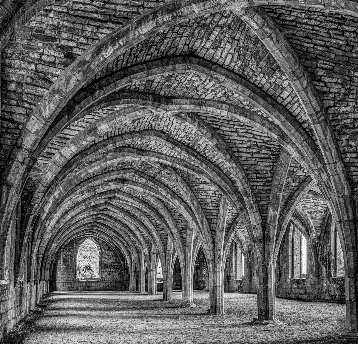 March 2025  Assigned Subject Architecture Detail - Jaceck Kowalski -  Vaulting at Fountains Abbey