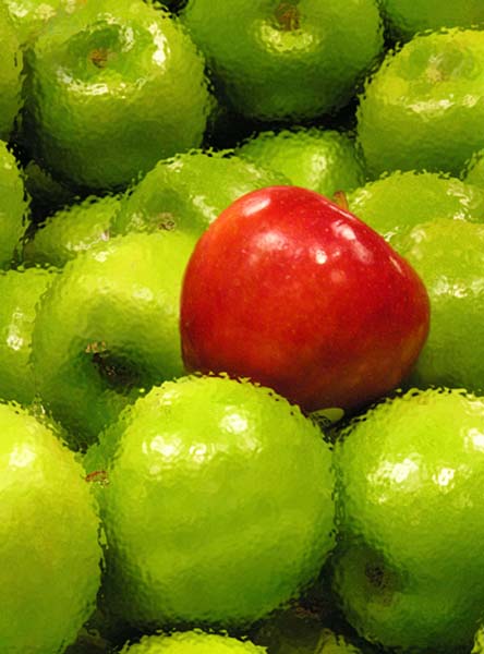 February 2006 Projected Image  - Maggie Molino - An Apple a Day
