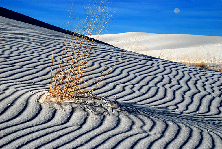 September 2009 - Joe Placer - White Sand Dunes