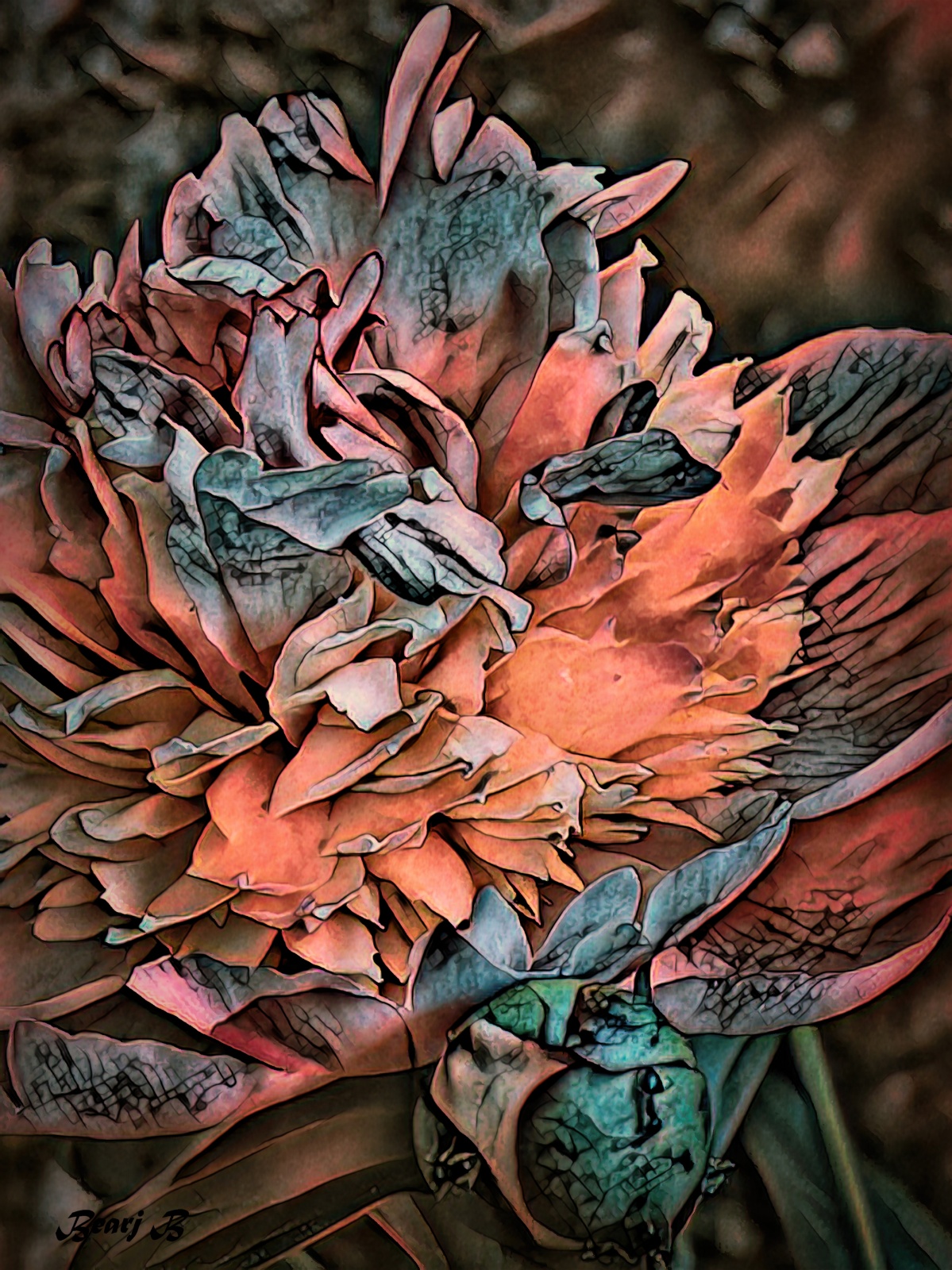 Peony Abstract