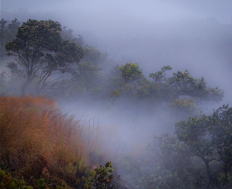 Hawaii, Caldera's Edge