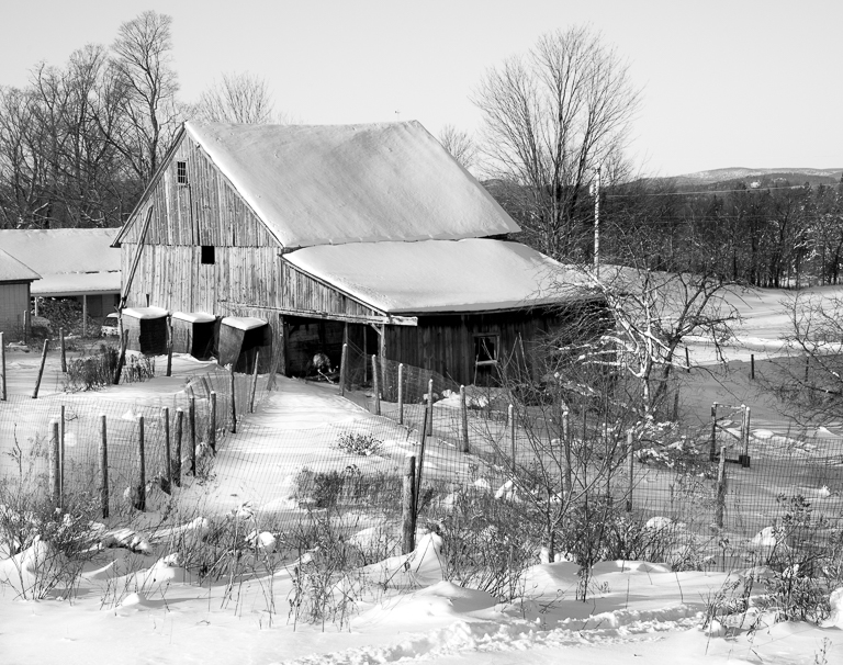The Emu Barn in Winter