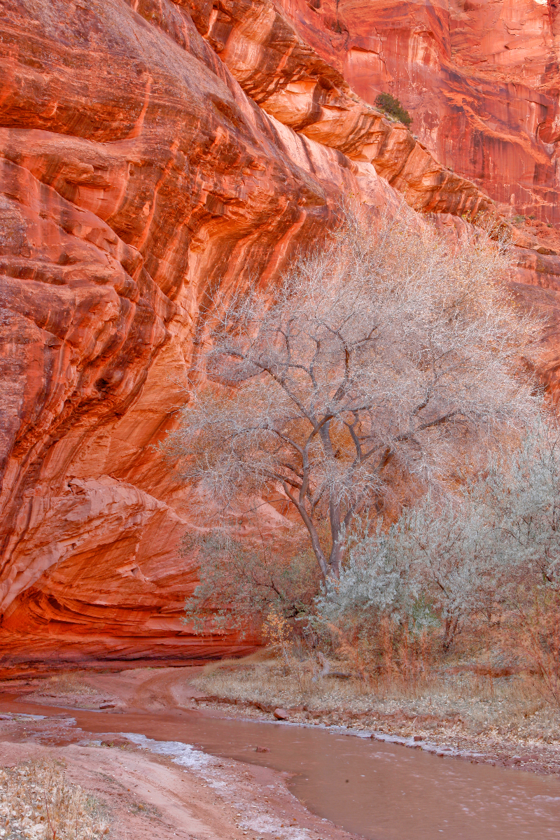 Canyon de Chelley